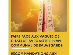 [Canicule] Message d’alerte de la préfecture de Seine-et-Marne