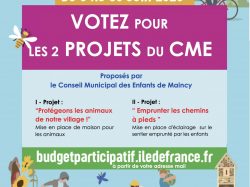 Votez pour les 2 projets du CME