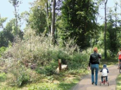 Publication DIP du Schéma directeur des liaisons douces