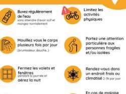 ALERTE ORANGE CANICULE